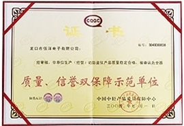 質(zhì)量、信譽雙保障示范單位